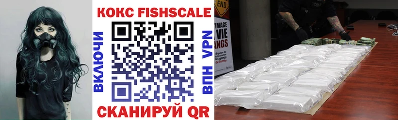 цены наркотик  кракен ССЫЛКА  Cocaine FishScale  Змеиногорск 