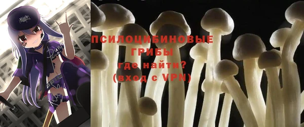 МДПВ Абинск