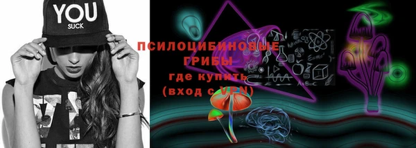 МДПВ Абинск