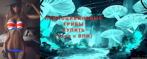 гидра Алексин
